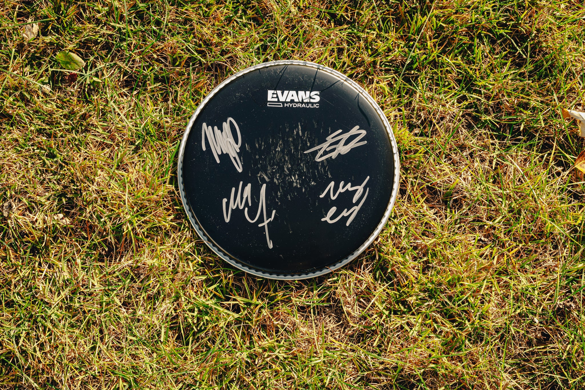 Signed Drum Head (Small)